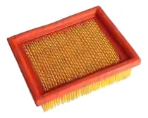 Comprar Filtro De Aire Elemento Dm200, Dm150 Italika