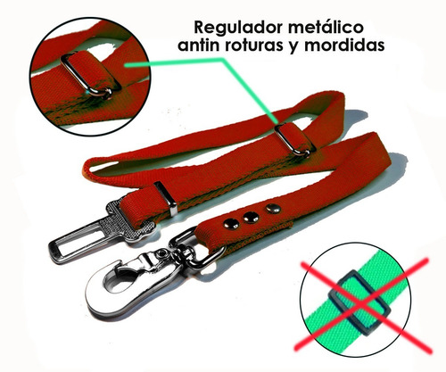 Imagen 2 de 10 de Cinturon Seguridad Perro Auto Reglamentario Regulable Grande