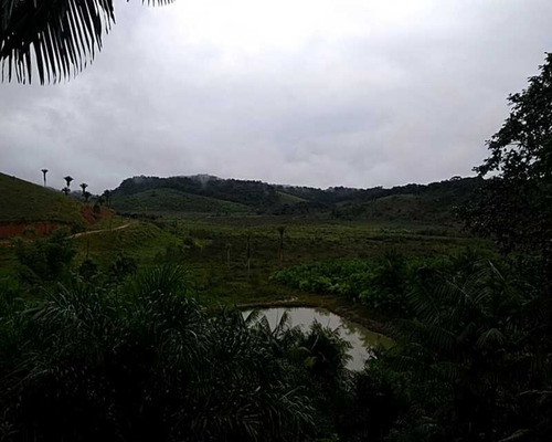 Imagem 3 de 30 de Fazenda - 0132 - 32820420