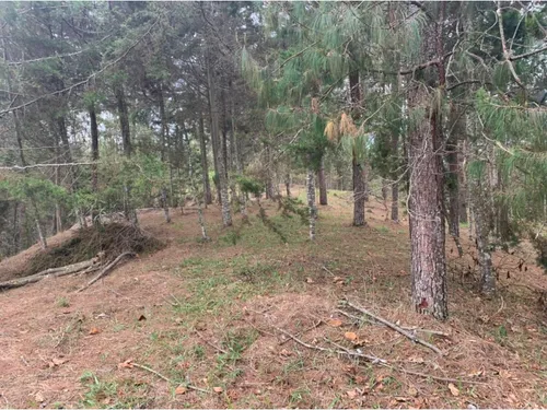 Lote En Venta En El Retiro Sector Lejos Del Nido