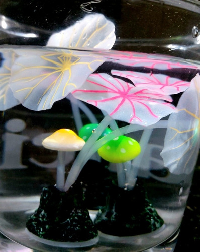 Adorno De Silicona, Coral Hongo 10cm Fluorescente Pack X 3un