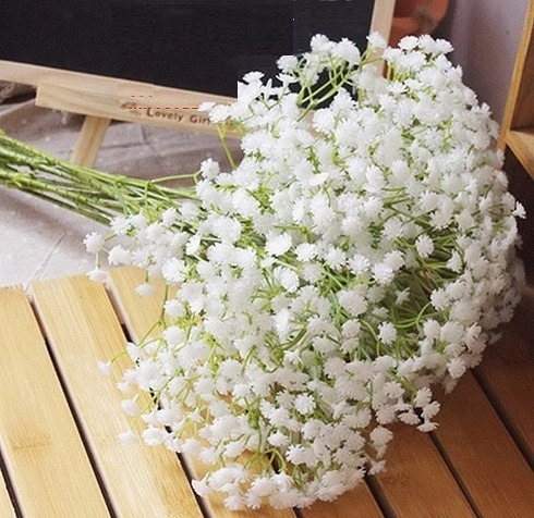 Flor De Verano Gypsophila Color Blanco, Distribuidor
