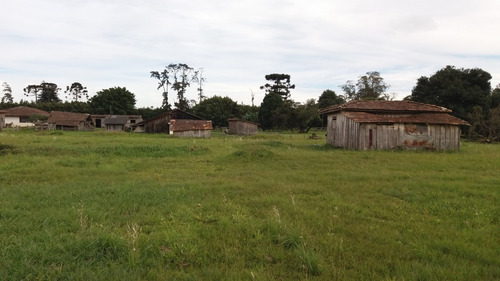 Imagem 7 de 23 de Excelente Terreno Plano Para Locação: 00351.003
