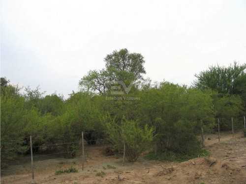 Imagen 2 de 6 de Venta. Campo 2200 Htas En Lucio V Mansilla. Ideal Engorde