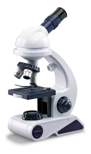 Imagen 2 de 3 de Investigación Microscópica Mi Alegría