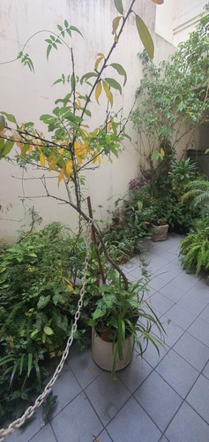 Imagen 2 de 2 de Alqulier De Habitación Para Pasajeros