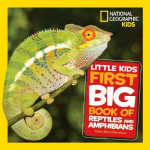 Libro Little Kids First Big Book Of Reptiles And Amphibians