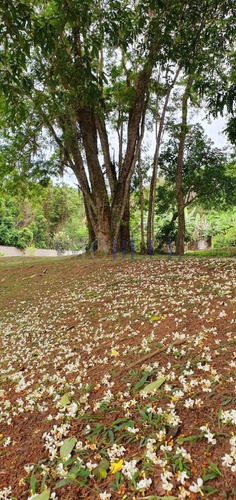 Imagem 3 de 14 de Bela Residência Em Região Central De Florianópo... - 1001