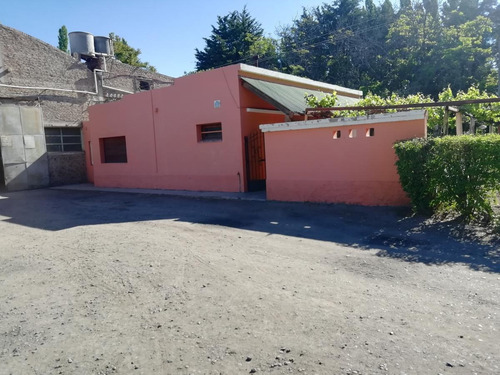Imagen 7 de 17 de Chacra En Producción- Venta - Mainque