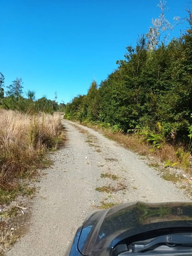 Campo De 16 Hectáreas En Chiloé