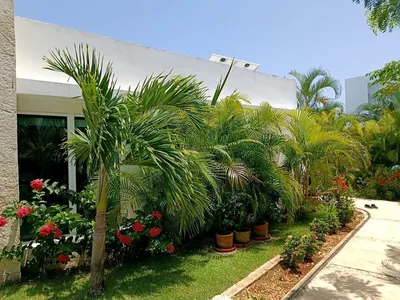 Casa en renta