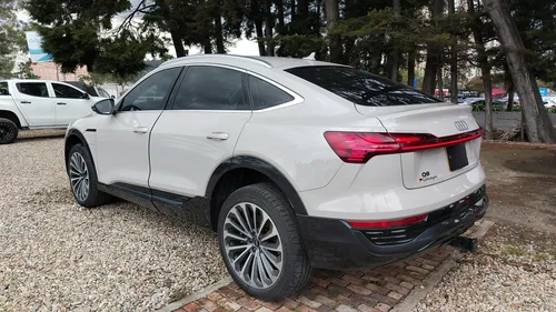 Audi E Trone Spbck Advance