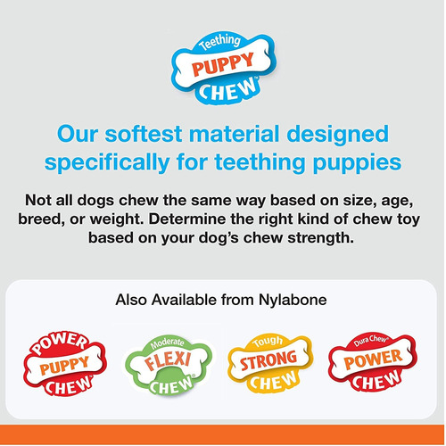 Nylabone Puppy Starter Kit With Chew Toys