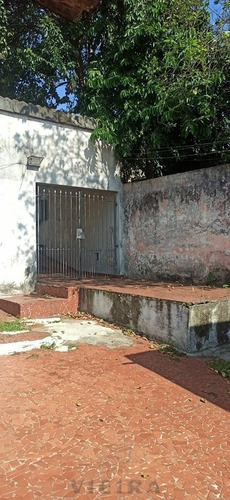 Imagem 9 de 15 de Casa Térrea Bem Localizada, Próximo Aos Comércios! - 3519-1