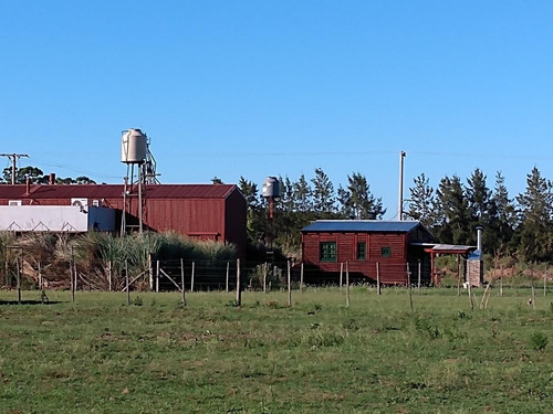 Imagen 4 de 12 de Villa Lia - 2 Lotes - 20 X 40 - C/u Cerca De La Estacion -