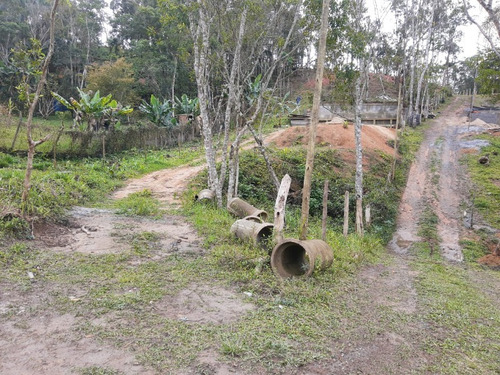 Imagem 5 de 28 de Terreno - Te00030 - 68403756