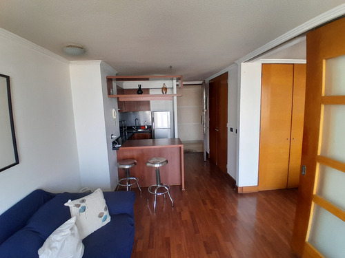 Se Arrienda Departamento Amoblado En Providencia