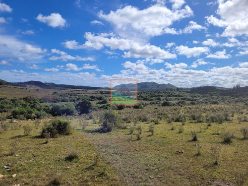 Imagen 5 de 22 de Campo Turístico 145hás En Zona De Pan De Azúcar