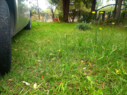 Casa En Venta - 2 Dormitorios 1 Baño - 4.500mts2 - Luján De Cuyo