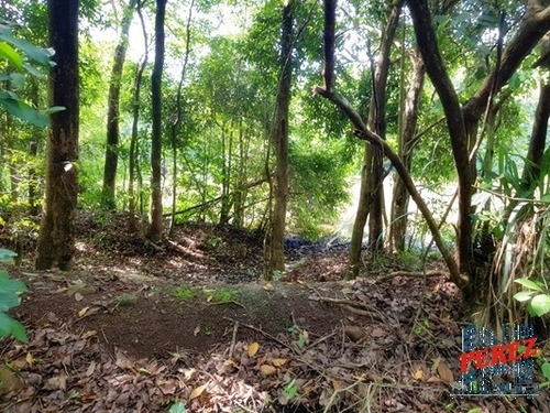 Chácaras_sítios_fazendas Para Venda - 13650.4943