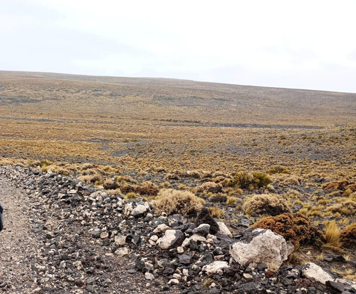 Campo En Valcheta. Rio Negro