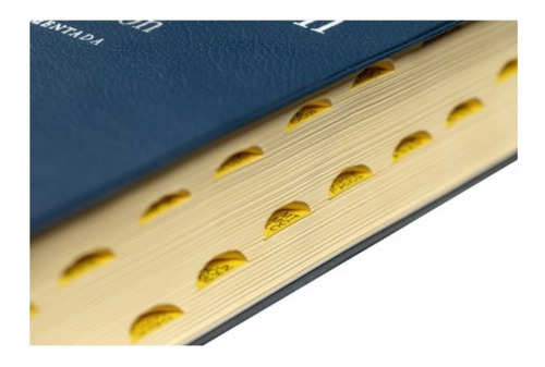 Imagen 2 de 6 de Biblia Catolica De Jerusalen Tamaño Manual Vinil Azul Indice