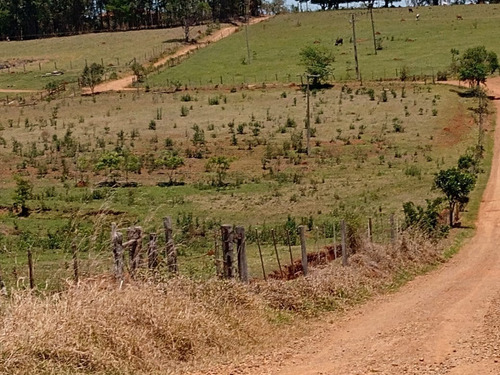 Imagem 5 de 20 de Sítio 6 Alqueires Em Angatuba Sp, Oportunidade... Com 2 Casas Sede E Caseiro... Sede 4 Quartos 3 Wc, Cozinha Sala Copa Lavanderia Garagem Para Até 3 Veículos, Barracão De Trato E L - St00008 - 687704