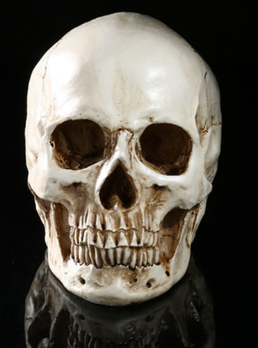 Lifesize 1: 1 Prop Model White Human Resin