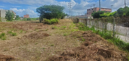 Terreno 15000 M2 Carr. Nacional Guarenas-guatire