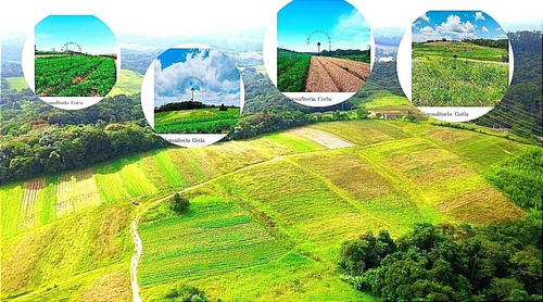 Imagem 2 de 26 de 17o Terrenos Bem Localizados