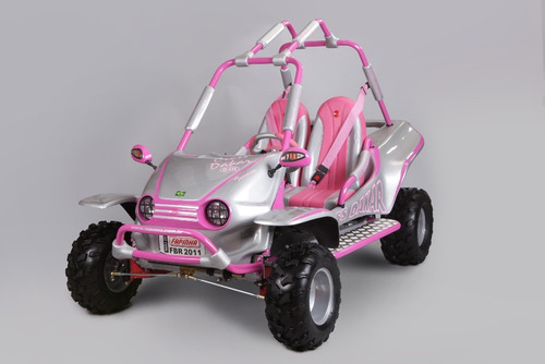 Mini Buggy - Gaiolinha Gaiola- Mini Bugg - Buguinho Fapinha