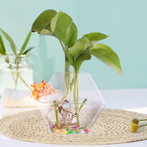 Jarrón De Vidrio De Plantador De Pared Simplicidad Fácil