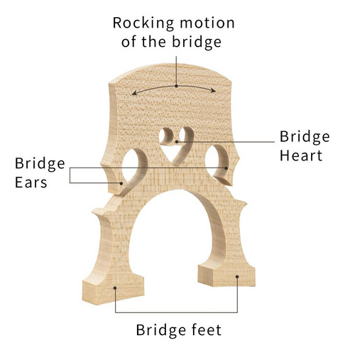 Puente De Cello De Arce 1: 4