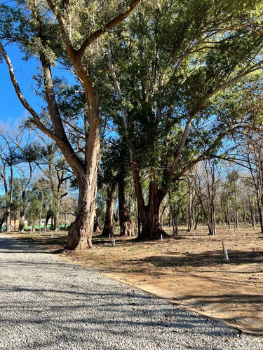 Imagen 4 de 6 de Financiado Hermoso Lote En Esquina De 600m2 En Barrio Parque Tortuguitas