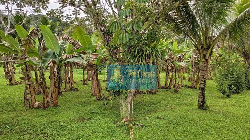 Imagem 16 de 30 de Chácara Com 4 Dormitórios À Venda, 5000 M² Por R$ 820.000,00 - Estância Balneária Garça Vermelha - Peruíbe/sp - Ch0001