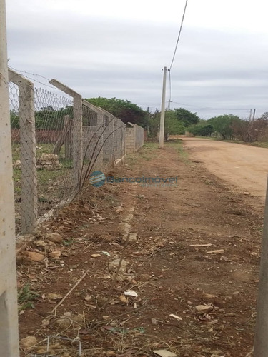 Imagem 5 de 18 de Chacara - Ch00126 - 68868949