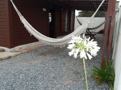 Alquiler En Punta Del Diablo, Rocha.
