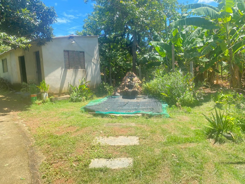 Chácara Com Casa, Piscina E Pomar Produzindo.