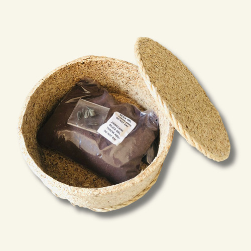 Urna Ecológica Biodegradável - Cinzas- Pet/humano - Cremação