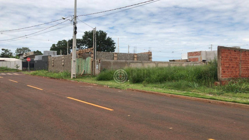 Imagem 1 de 3 de Terreno À Venda, 400 M² Por R$ 235.000,00 - Jardim Marcely - Foz Do Iguaçu/pr - Te1671