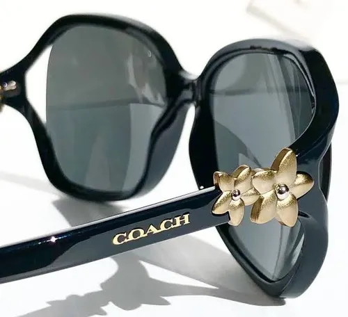 Precio de lentes coach originales hotsell
