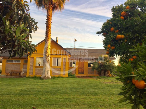 Parcela 10000m2, Con Casa Quillota Maravillosos Frutales Rc