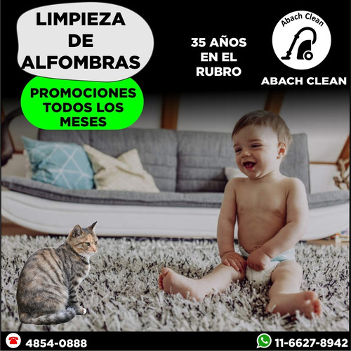 Imagen 5 de 11 de Limpieza De Alfombras,sillones,carpetas. 36 Años Respaldan