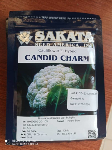 Coliflor Sakata Candid F1