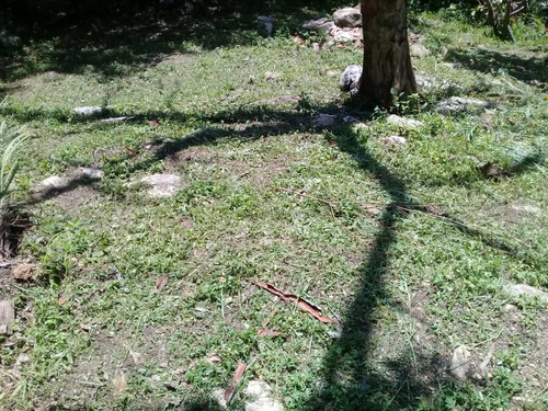 ¡vive Tranquilo! Remato Quinta En Cumbres Del Manzano, Excelente Clima, Terreno Regularizado En Alcaldía, Tanque De Agua, Todos Los Servicios En Barquisimeto (mact).