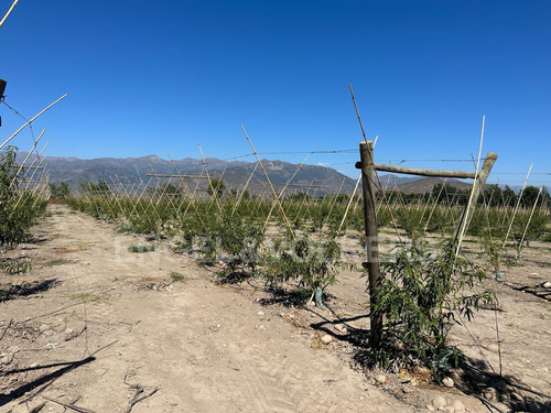 Terreno En Santa Amalia