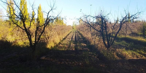 Imagen 1 de 8 de Campo - Bowen