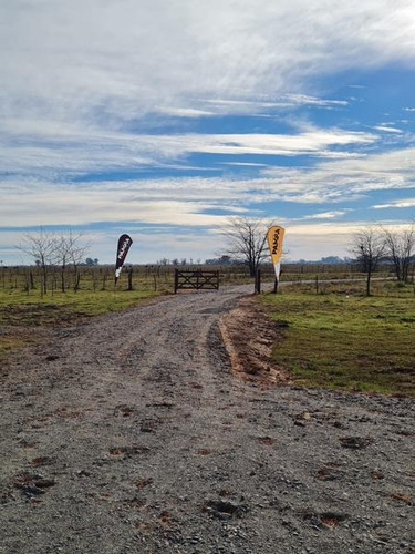 Imagen 6 de 8 de Terreno - Countries/b.cerrado (san Vicente)