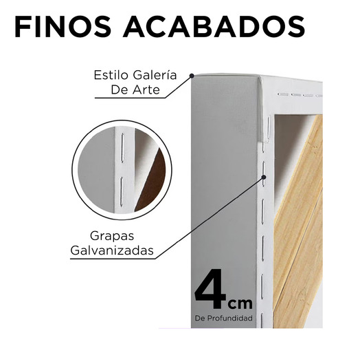 Cuadro Leon Rey Dorado Canvas Sala Elegante 60x90 Animal Y6