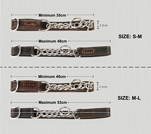 Imagen 3 de 7 de Collar De Estrangulador De Cuero Para Perro Martingala,